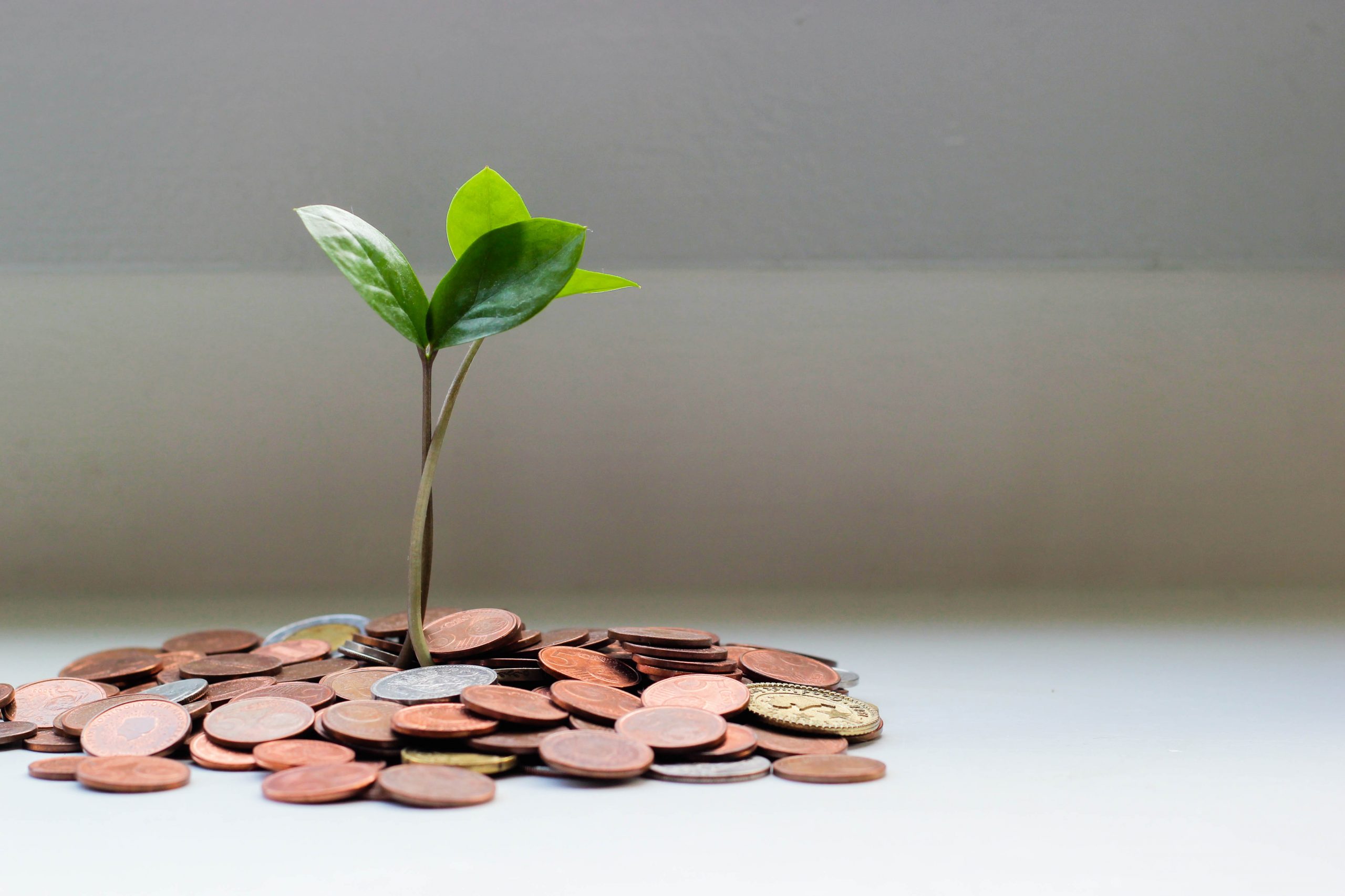 The Ancient Origins of Third-Party Litigation Funding